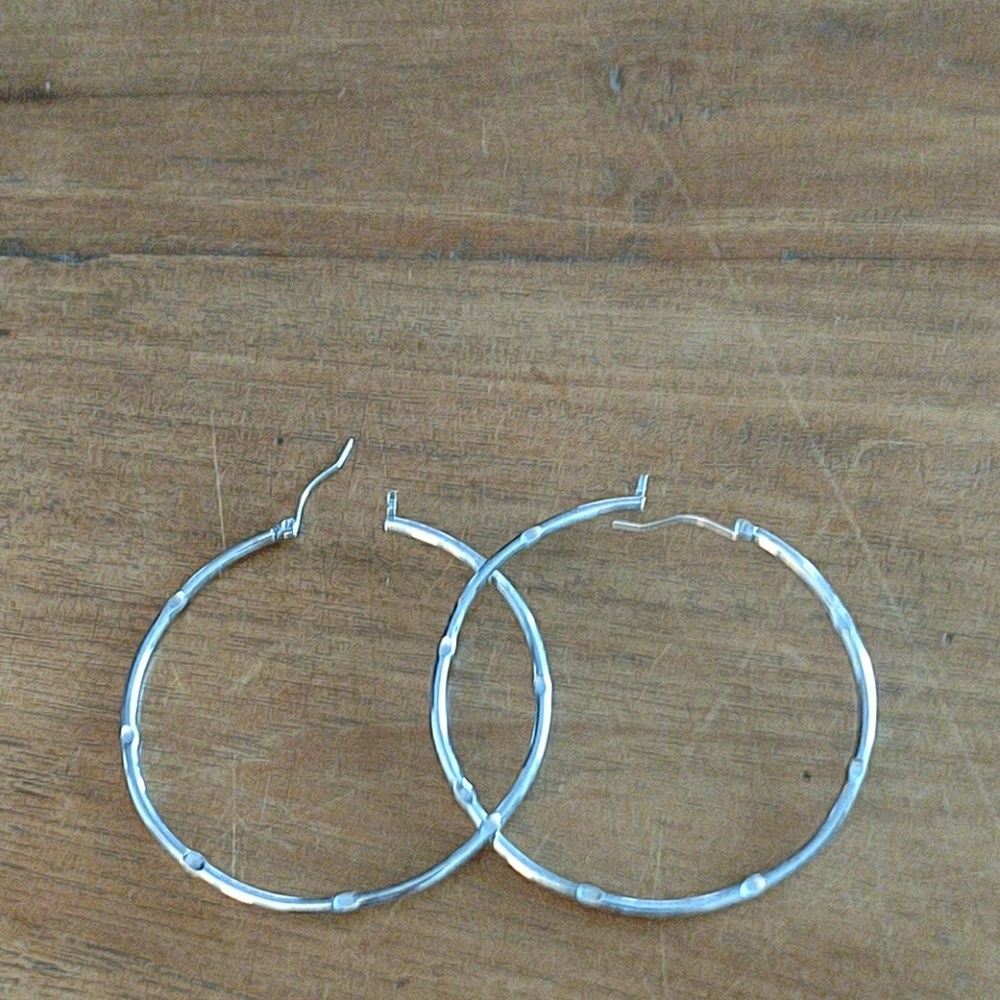 Big Silver tine earrings